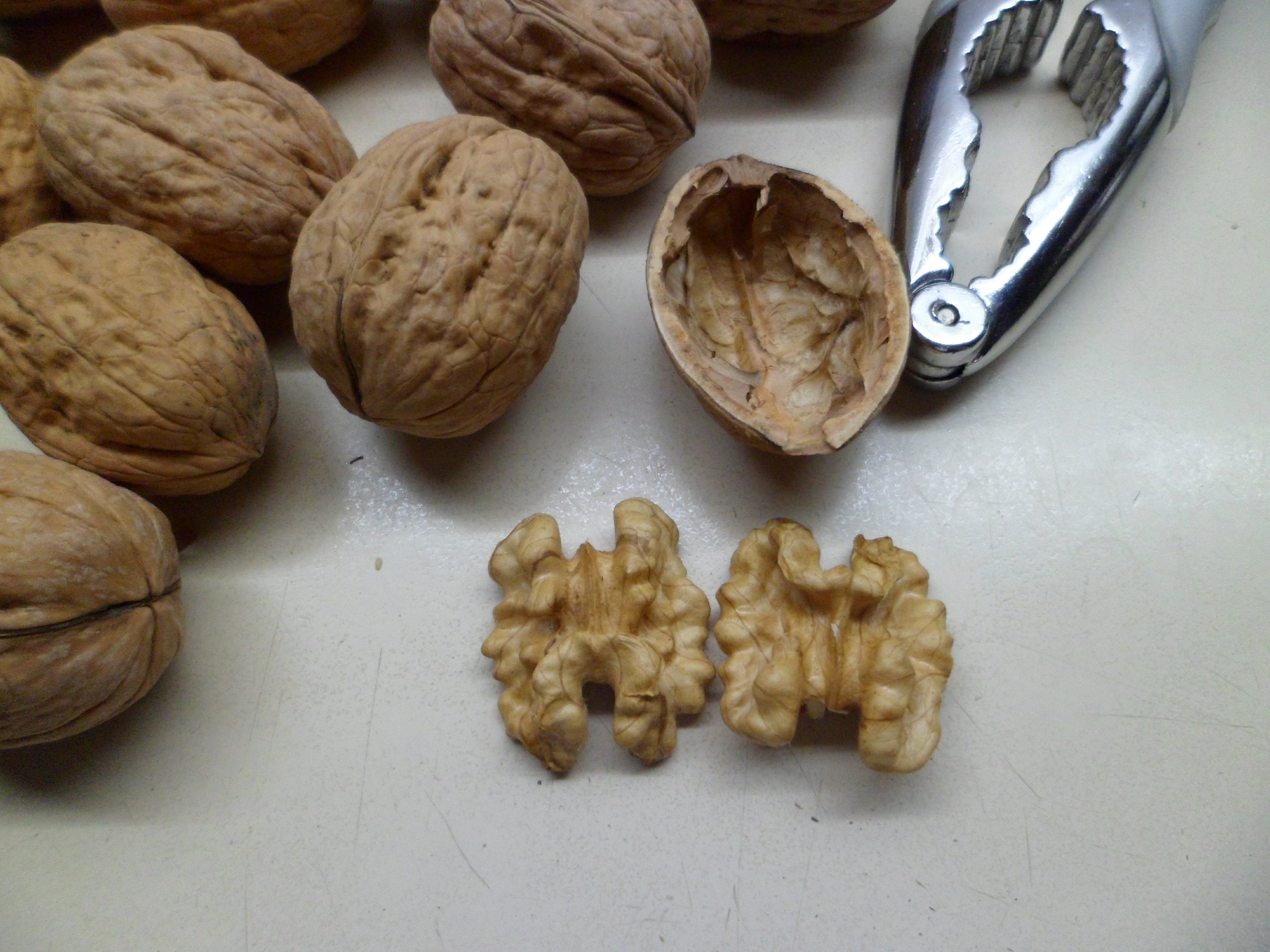 Nueces Chandler